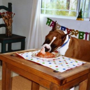 fritz_fourth_birthday