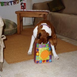 birthday_gift