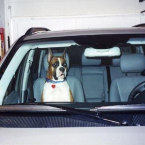 where_we_are_going
