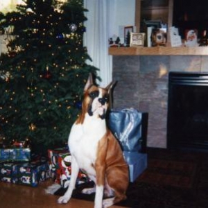 christmas1