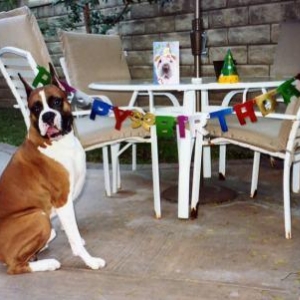 fritz_fifth_birdhday