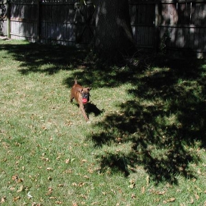 my baby playin ball