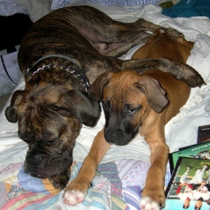 I love my new Puppy!