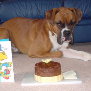 1st Birthday