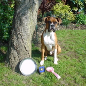1st in Training Class