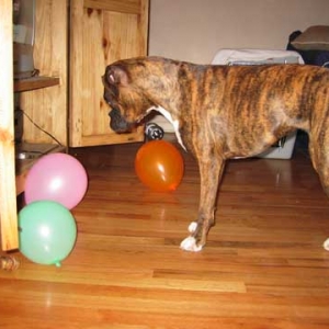 Balloons!