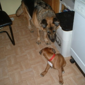 Im watchin you..leave my bum alone