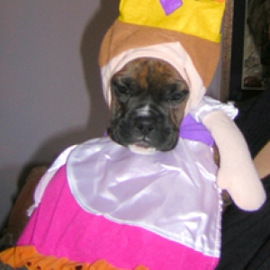 Princess Bella