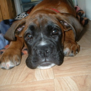 look at that face
