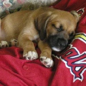 8 weeks