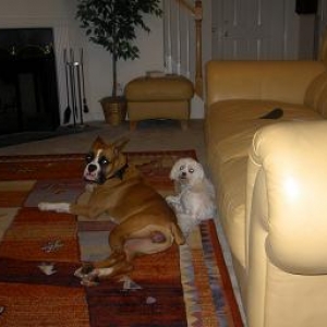 Isis & Figi