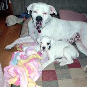 Zeus and Isis