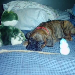 Madison's first day home