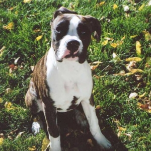 Taya - Fall 2004