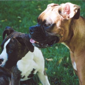 Mateus and Taya