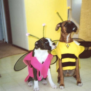 Costume time