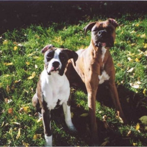 My little posers!!
