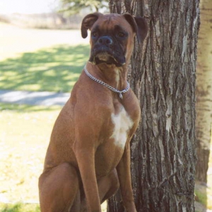 Mateus posing for me