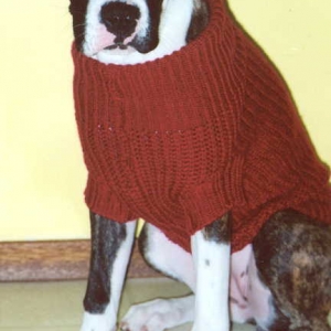 Tayter in her sweater