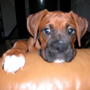 Whats going on over here?