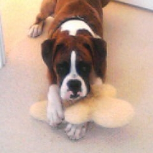 Raider with toy
