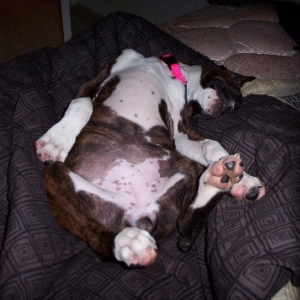 How does she sleep like this?