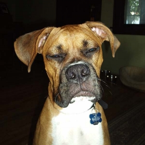 Time to wake up already?