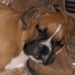 Aren't they so cute when they are sleeping!