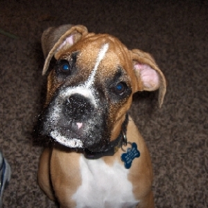 I am innocent mom, I promise!!!