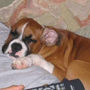 Just watching the game with Dad