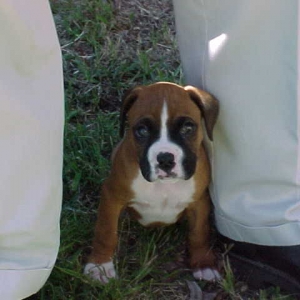 first week home