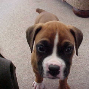 Whatcha doin with that thing, mom?