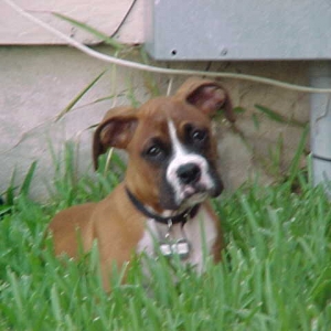 Gotta love the head tilt