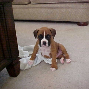 getting very sleepy