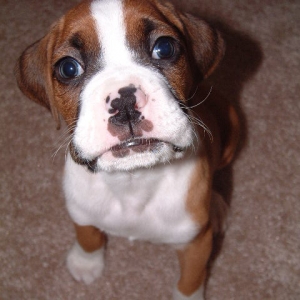 Baby Flexx