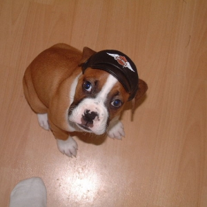 Baby Biker Flexx