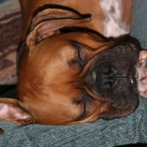 Napping on Guard Duty