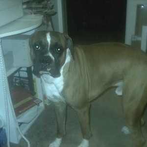 HI!