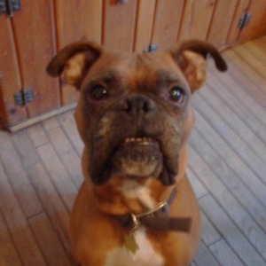 My Baby Boy