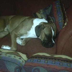 ZZZZZZ