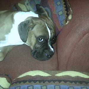 You woke me up!
