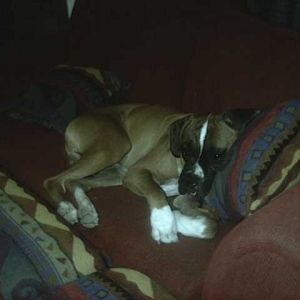 I'm seepin'