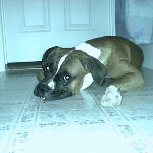 cool on the floor