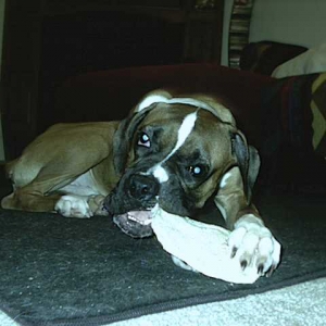MMM chewy