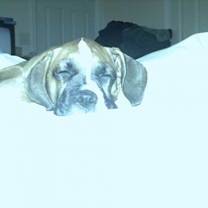Nap Time
