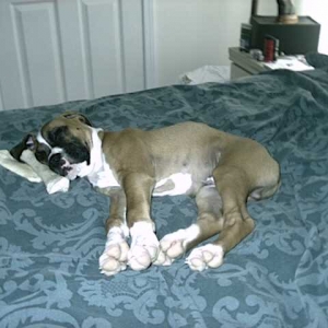 MY BED!!