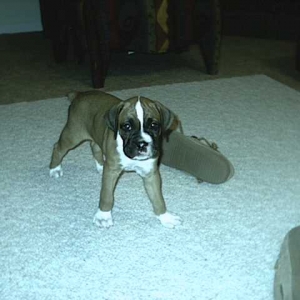 MY NAME IS TRITON!