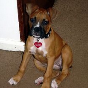 Look Ma, I can SIT!!!