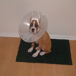 Oh no you didn't take that pic Dad!