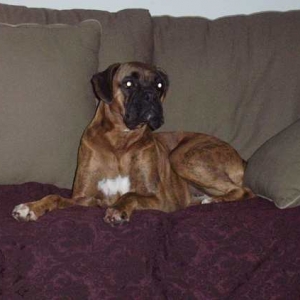 Her Couch !!!
